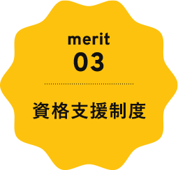 merit3